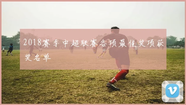 2018赛季中超联赛各项最佳奖项获奖名单